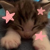 GCUnWgMXcAAWY27