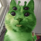 glorp