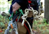 climbing