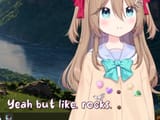 rocks