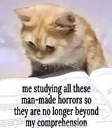 1738342820589358
