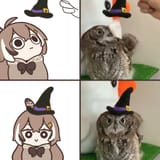 GbPiD_xakAQzqle