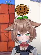 manoloqw