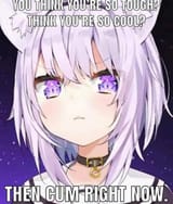 1738541919247454