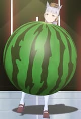 melon