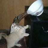 FEcycH3VkAAngRl