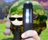 mib watamelon