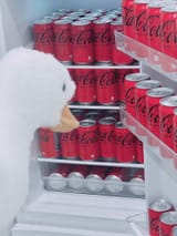 GxURWxXa0AAMIJZ