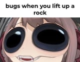 bugga