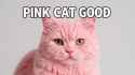 pinkcatgood_thumb.jpg