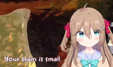 small brain