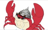 kaniki