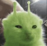 172839679826