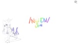 _NijiEN_