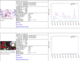 Screenshot 2025-08-03 043245