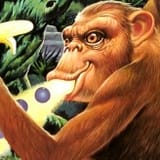 toki-going-ape-spit-164x164