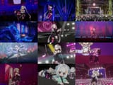 concerts