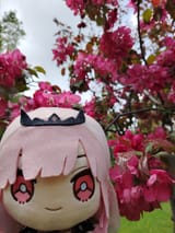 GxbAhLnasAAuRy_[1]