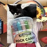 rocking cat