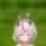 gn [sound=files.catbox.moe%2Ff27rcr.mp3]_thumb.jpg