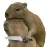 20250719_163607