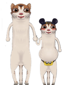 Fju6JX6VQAEfyp8