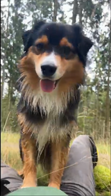 happy