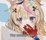 you wouldn&#039;t get it