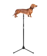 mic