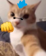 1743348816615992
