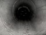 rosebud_hole[sound=files.catbox.moe%2Fr38jn8.ogg]