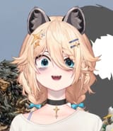 coonmi