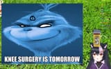 1745255531432407