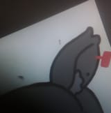 fgfds