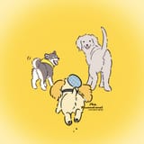 ewanandlianne2-GxhHGVraUAEuyui