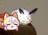 seabunnywithfriend