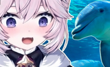 0843y