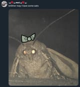 1748097873466948