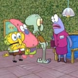 any_other_squidwards