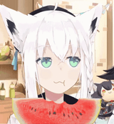 5232673567
