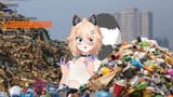 racoonmi2