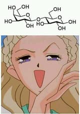 1739166810941984