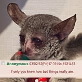 1733795873737118