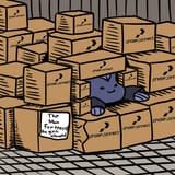 fort