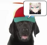 dog with a propeller hat