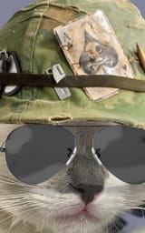 John Cat, Cat Marine
