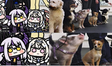 Laplus Fuwawa