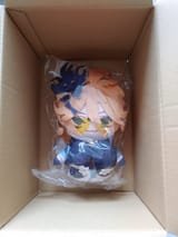 Doki in a Box