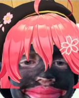 yoyo
