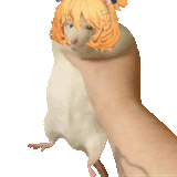 1702084119166013